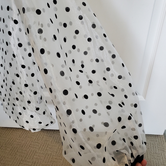 Polka Dot Mesh Blouse - Picture 2 of 2